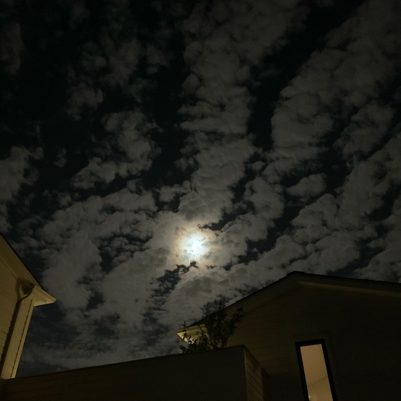 Meet your Posher, Ben - Picture 1 of 1